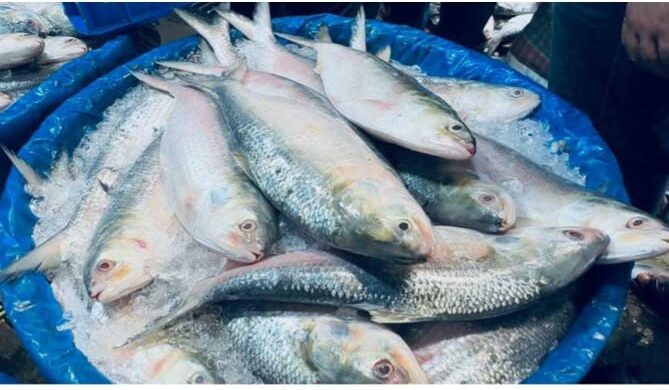 ec7d9f58 1d43 4a70 9dc7 bb2ad4d0d902