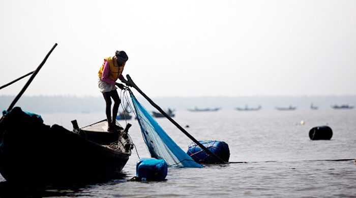 fish 20230511134200 20230724002139 20250929193821