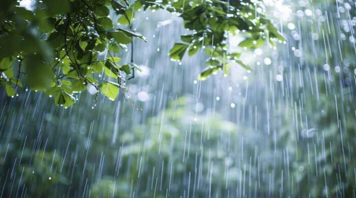 1761718650 14c190fdbb79ce8acbc1e7f176c9c6b6