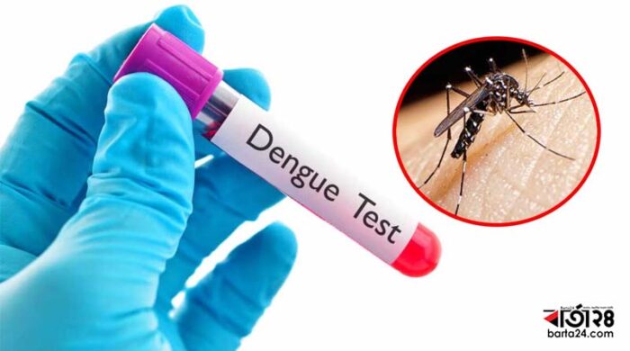 dengue c 1761299909