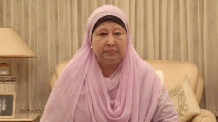 image 243482 1763997960