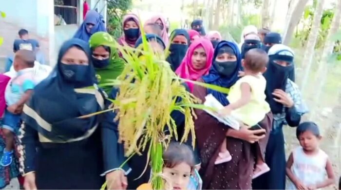 দেশবিদেশ২৪ 8