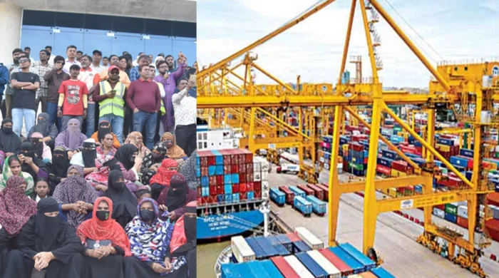 image 302703 1769936336